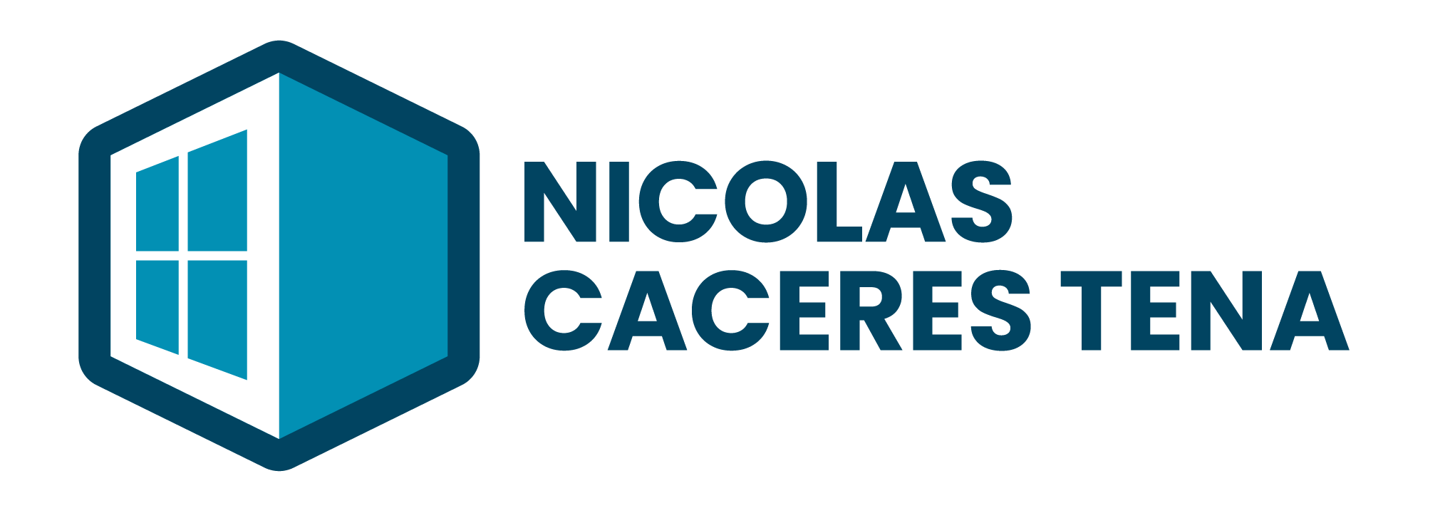 NICOLAS CACERES TENA